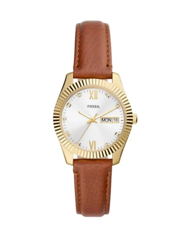 Reloj Fossil (ES5184) SCARLETTE