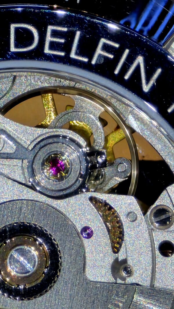 RELOJ EDOX DELFIN MECANO AUTOMATIC (85303 357RN NRN) - Imagen 9