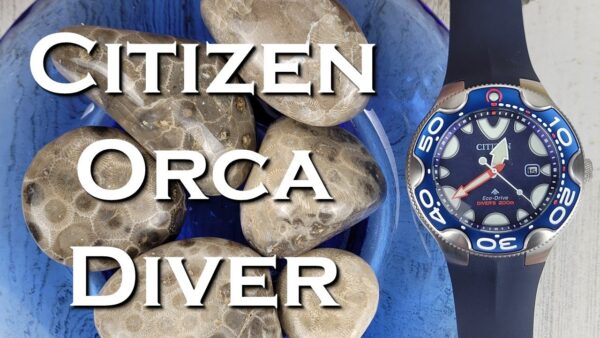 RELOJ CITIZEN PROMASTER DIVE (BN0231-01L)  ORCA AZUL - Imagen 5