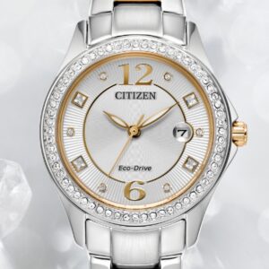 RELOJ CITIZEN (FE1146-71A) CRISTAL