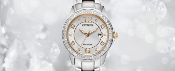 RELOJ CITIZEN (FE1146-71A) CRISTAL