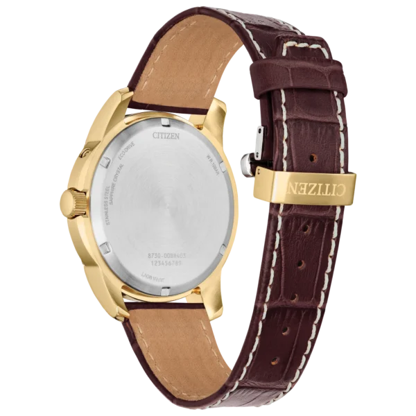 RELOJ CITIZEN (BU0082-06P) CALENDRIER ECO DRIVE - Imagen 4
