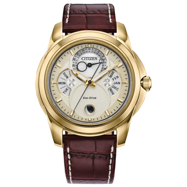 RELOJ CITIZEN (BU0082-06P) CALENDRIER ECO DRIVE - Imagen 2