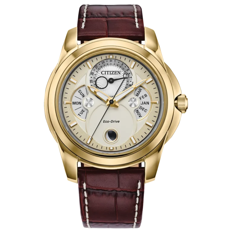 RELOJ CITIZEN (BU0082-06P) CALENDRIER ECO DRIVE