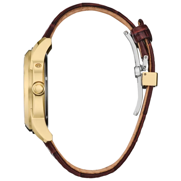 RELOJ CITIZEN (BU0082-06P) CALENDRIER ECO DRIVE - Imagen 3