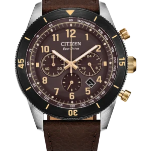 RELOJ CITIZEN Terra Force (CA4746-08X)