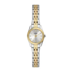 Reloj Fossil Scarlette Mini ES5473