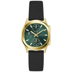GW1093L2